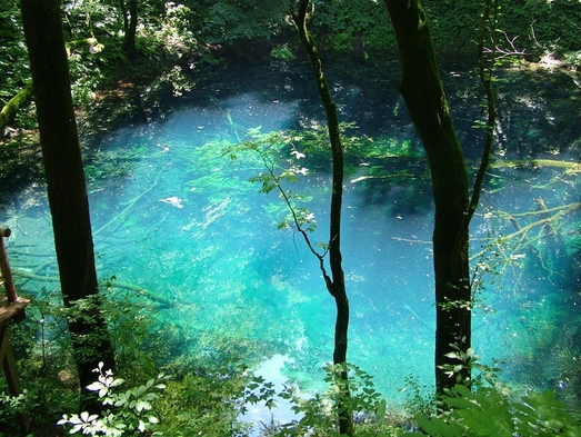 【大自然まるごと満喫】世界自然遺産白神山地★十二湖トレッキング（お気軽コース／約2ｈ）プラン